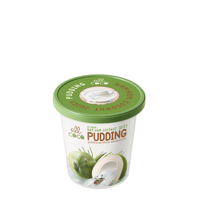 Coconut Juicy Pudding